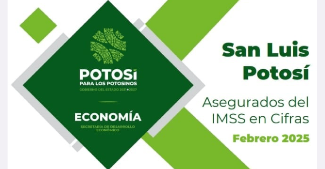 ESTUDIO ASEGURADOS DEL IMSS EN 
CIFRAS FEBRERO 2025 ESTUDIO 
ELABORADO POR SEDECO S.L.P.