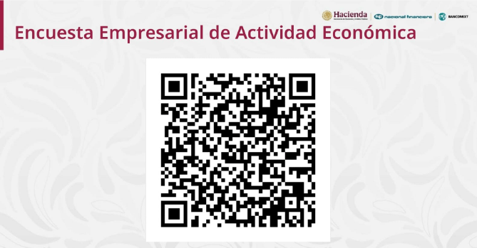 ENCUESTA:  EMPRESARIAL DE 
ACTIVIDAD ECONÓMICA - SHCP, 
NAFIN Y BANCOMEXT.